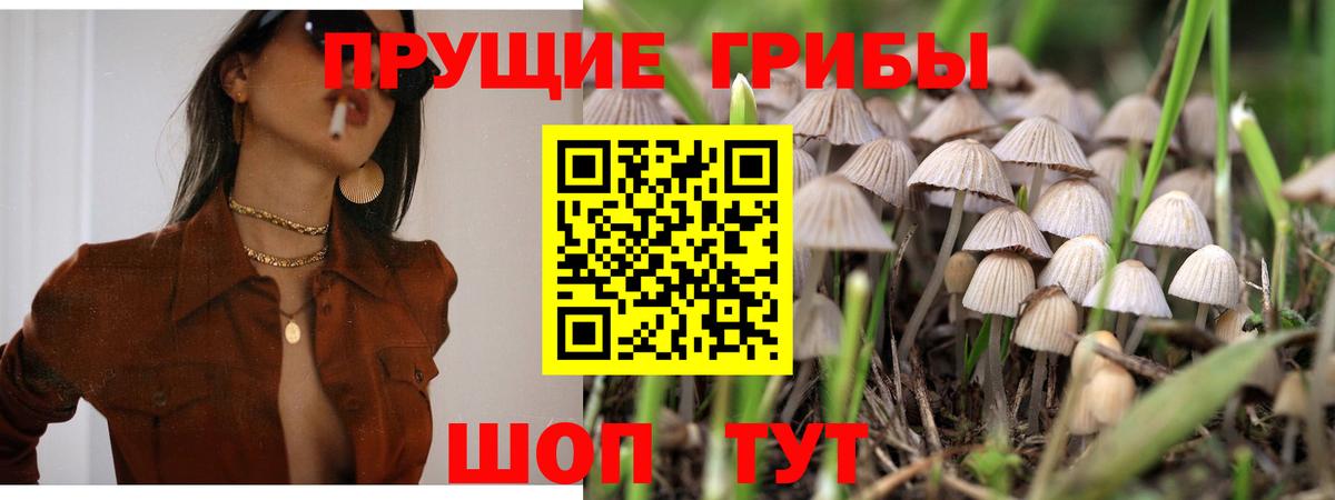 Качканар  где купить наркотик  Вход с VPN  Галлюциногенные грибы MAGIC MUSHROOMS 